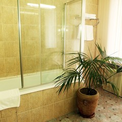 Гостиница Али, Хабаровск, Хабаровский край