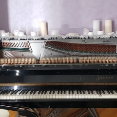 Гостиница Афалина, Хабаровск, Хабаровский край