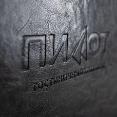 Гостиница Пилот, Хабаровск, Хабаровский край