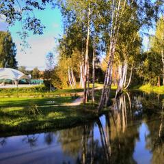 Эко-отель MB-Resort, Фрязино, Московская область