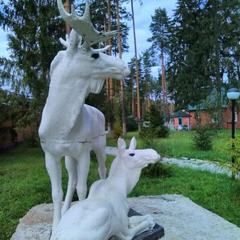 Эко-отель MB-Resort, Фрязино, Московская область