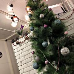 Отель Парк Отель, Хабаровск, Хабаровский край