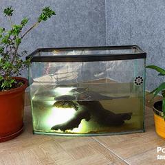 Мини-отель Оазис, Хабаровск, Хабаровский край