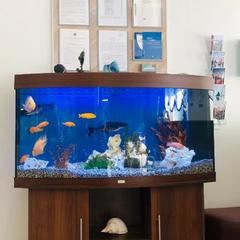 Гостиница Дом Рыбака, Хабаровск, Хабаровский край