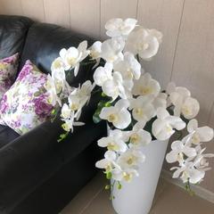 Гостиница Хит Отель, Хабаровск, Хабаровский край