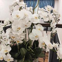 Отель Лазурит, Хабаровск, Хабаровский край