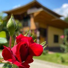 База отдыха Китайская деревня, Майкопский район, Республика Адыгея