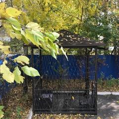 Отель Лазурит, Хабаровск, Хабаровский край