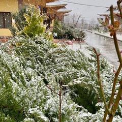 База отдыха Китайская деревня, Майкопский район, Республика Адыгея