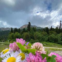 База отдыха Китайская деревня, Майкопский район, Республика Адыгея