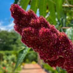 База отдыха Китайская деревня, Майкопский район, Республика Адыгея