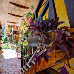 База отдыха Китайская деревня, Майкопский район, Республика Адыгея