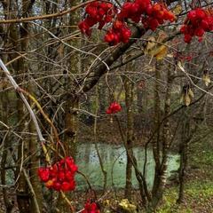 База отдыха Китайская деревня, Майкопский район, Республика Адыгея