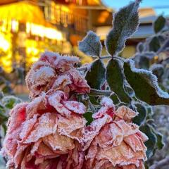 База отдыха Китайская деревня, Майкопский район, Республика Адыгея