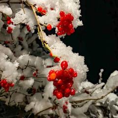 База отдыха Китайская деревня, Майкопский район, Республика Адыгея