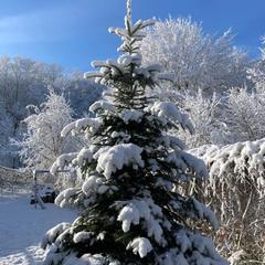База отдыха Китайская деревня, Майкопский район, Республика Адыгея