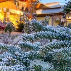 База отдыха Китайская деревня, Майкопский район, Республика Адыгея