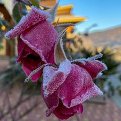 База отдыха Китайская деревня, Майкопский район, Республика Адыгея