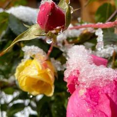 База отдыха Китайская деревня, Майкопский район, Республика Адыгея