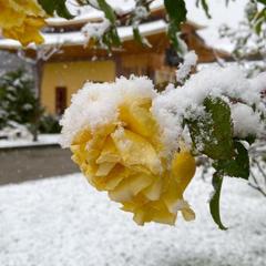 База отдыха Китайская деревня, Майкопский район, Республика Адыгея