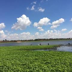База отдыха Fishing Life, Харабали, Астраханская область