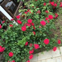 База отдыха Fishing Life, Харабали, Астраханская область