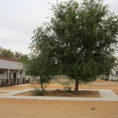 База отдыха Fishing Life, Харабали, Астраханская область