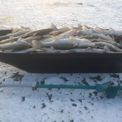 База отдыха Лес и Рыба, Харабали, Астраханская область