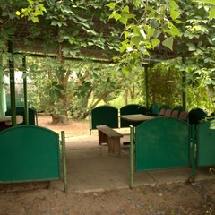 База отдыха Лес и Рыба, Харабали, Астраханская область