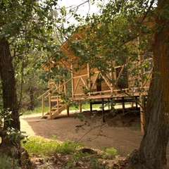 База отдыха Лес и Рыба, Харабали, Астраханская область