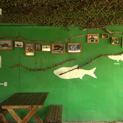 База отдыха Лес и Рыба, Харабали, Астраханская область