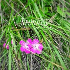 База отдыха Кишкет, Республика Карачаево-Черкесия 