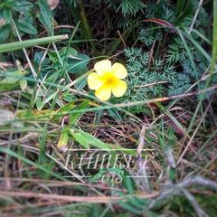 База отдыха Кишкет, Республика Карачаево-Черкесия 