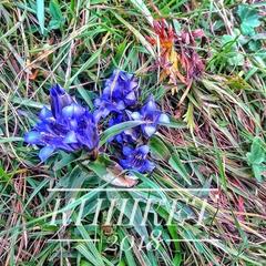 База отдыха Кишкет, Республика Карачаево-Черкесия 