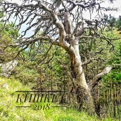 База отдыха Кишкет, Республика Карачаево-Черкесия 