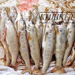 База отдыха Кишкет, Республика Карачаево-Черкесия 