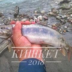 База отдыха Кишкет, Республика Карачаево-Черкесия 