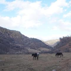 База отдыха Кишкет, Республика Карачаево-Черкесия 