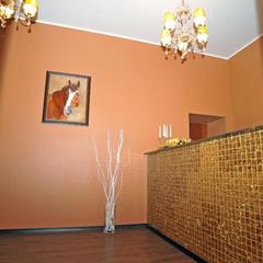 Отель Винтаж Шереметьево, Химки, Московская область