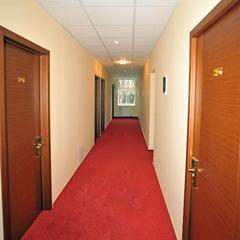 Отель Винтаж Шереметьево, Химки, Московская область