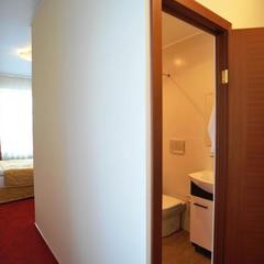 Отель Винтаж Шереметьево, Химки, Московская область