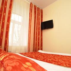 Отель Винтаж Шереметьево, Химки, Московская область