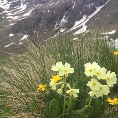 База отдыха Кишкет, Республика Карачаево-Черкесия 