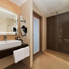 Отель Novotel Москва Аэропорт Шереметьево, Химки, Московская область