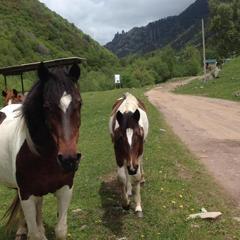 База отдыха Кишкет, Республика Карачаево-Черкесия 