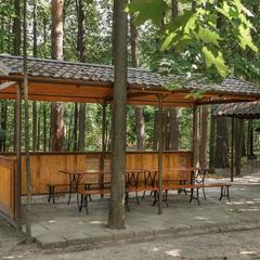 Парк-отель Нагорное, Химки, Московская область