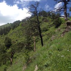 База отдыха Кишкет, Республика Карачаево-Черкесия 