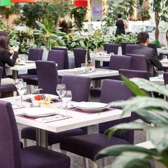 Отель Novotel Москва Аэропорт Шереметьево, Химки, Московская область