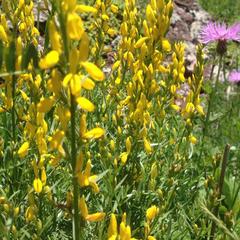 База отдыха Кишкет, Республика Карачаево-Черкесия 