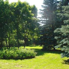 Парк-отель Нагорное, Химки, Московская область